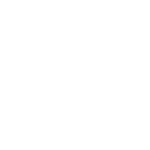 Stapleton Logo white